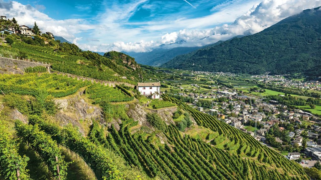 Valtellina montagna ogni stagione