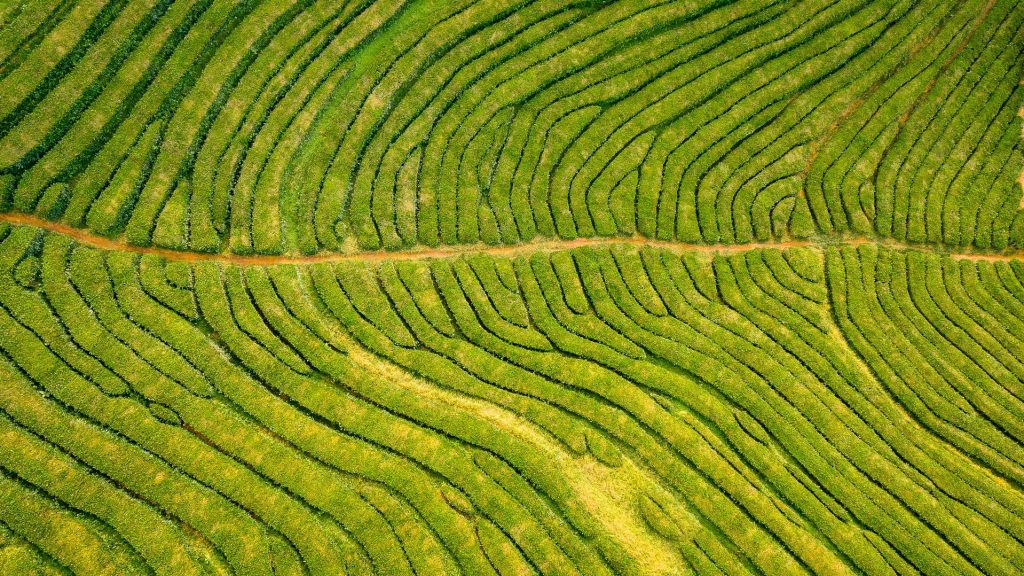 10 consigli per visitare le Azzorre