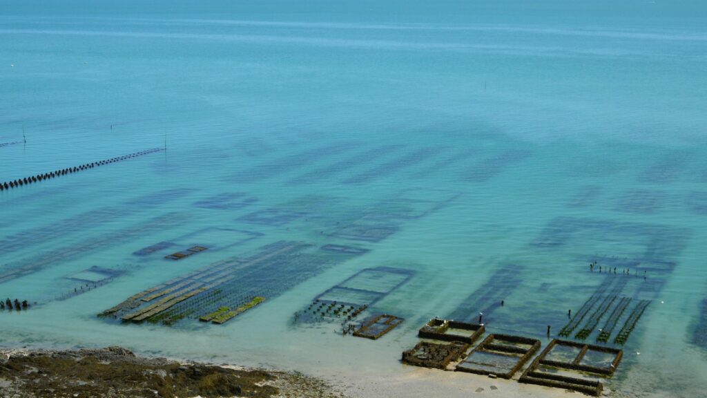 Cancale e le sue ostriche